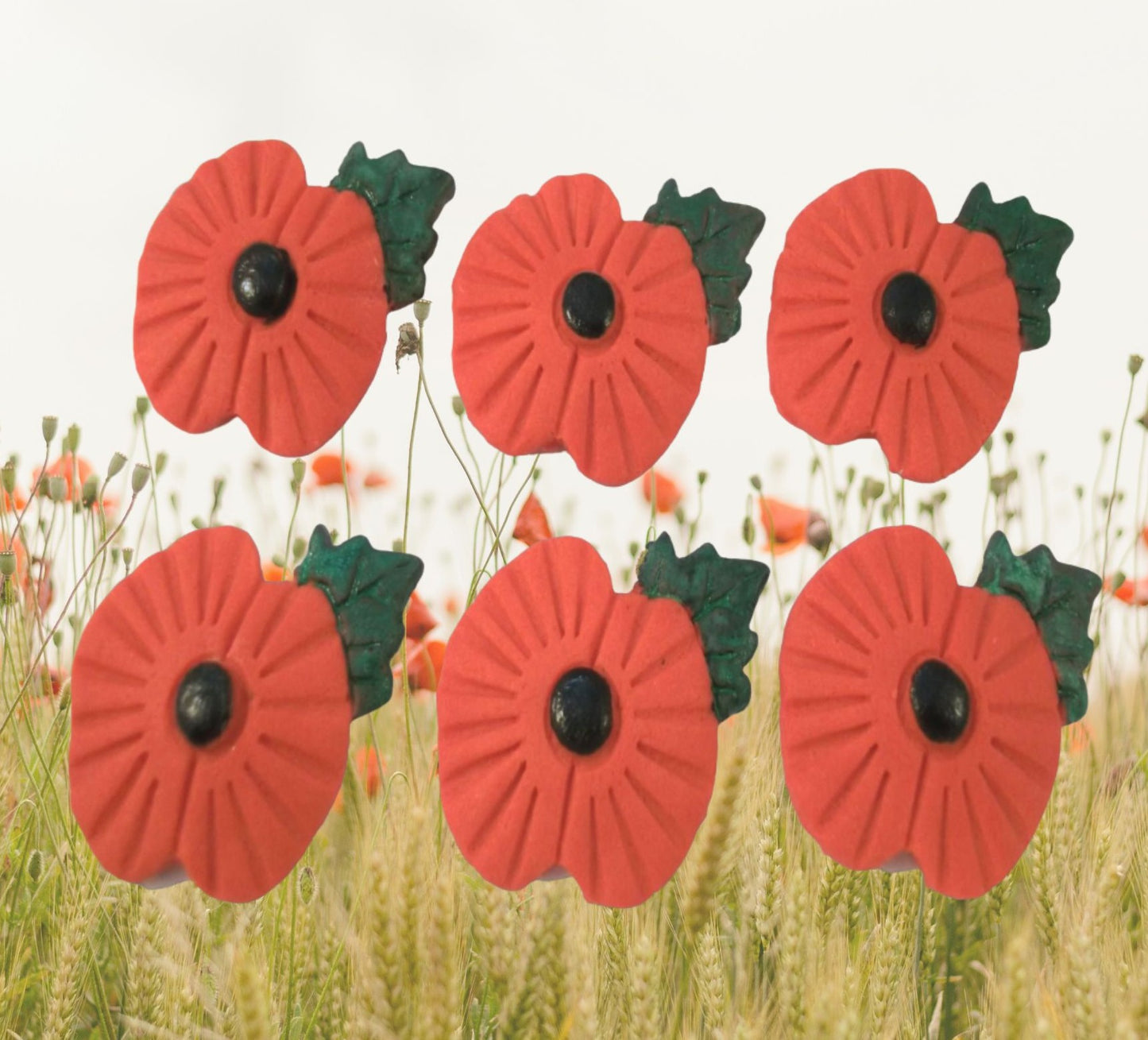 Edible poppies shown in a background poppy field image