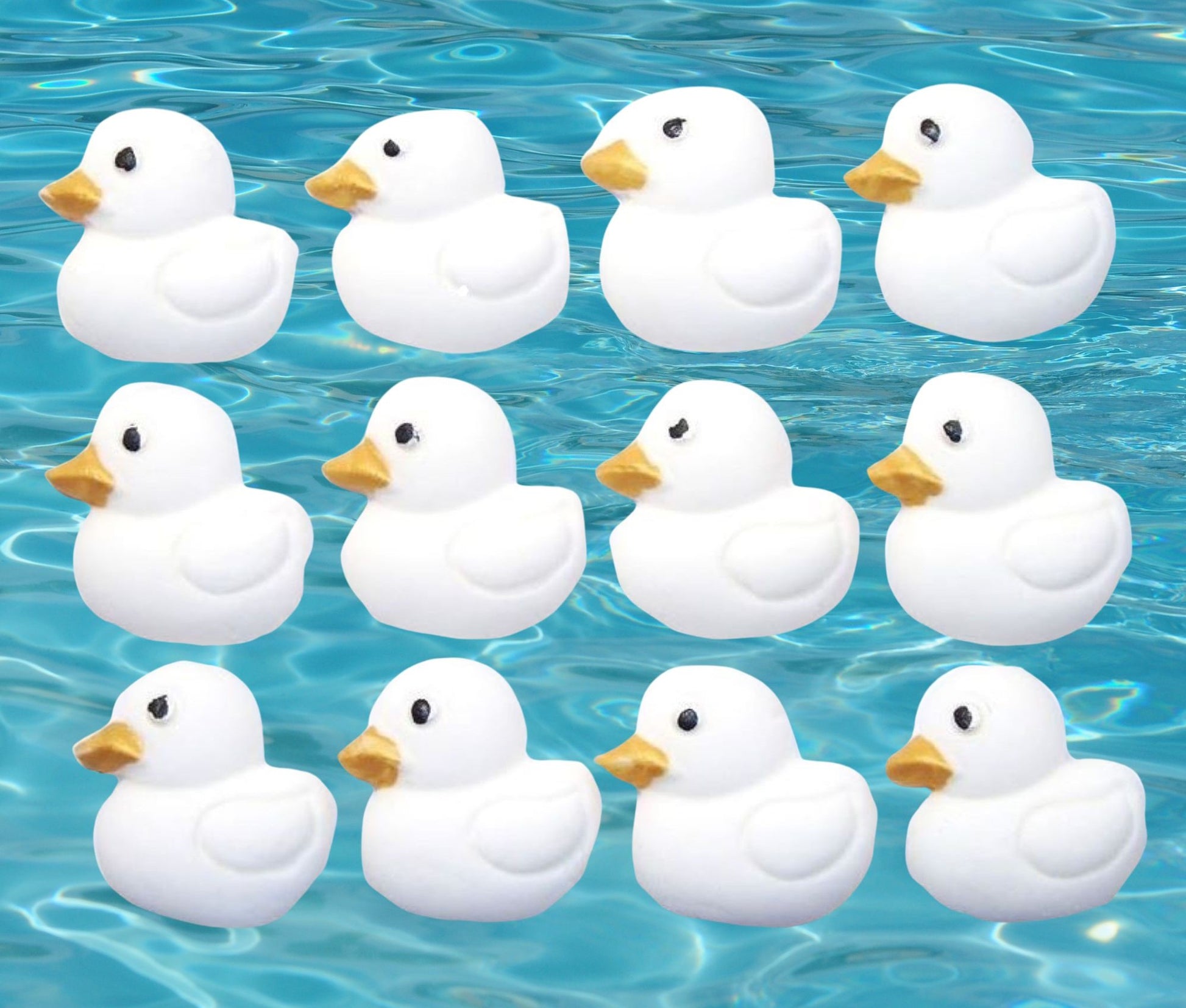 12 white ducks cupcake toppers image shows them on water