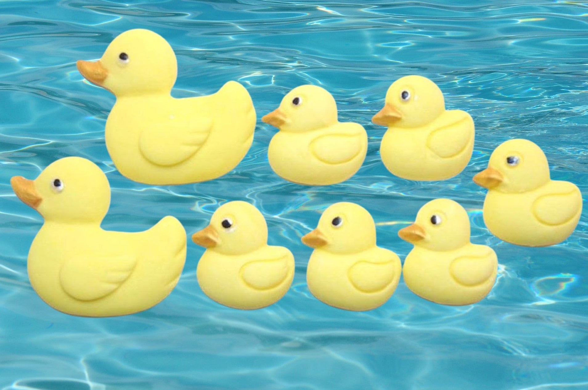 Edible Yellow  ducks cupcake toppers shown floating on blue water